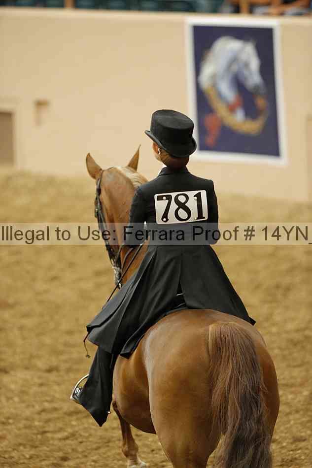 Proof 14yn_05130
