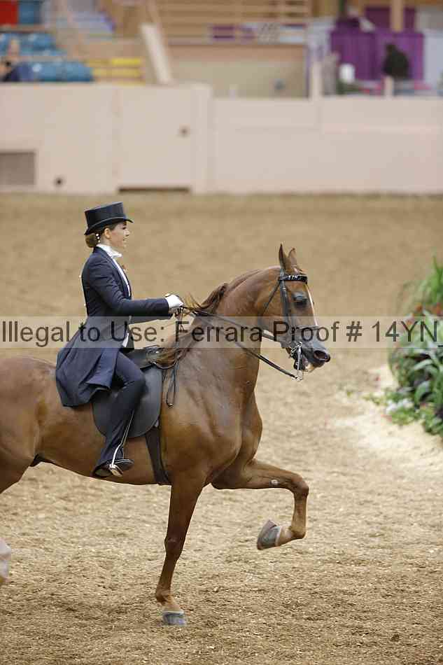 Proof 14yn_05135