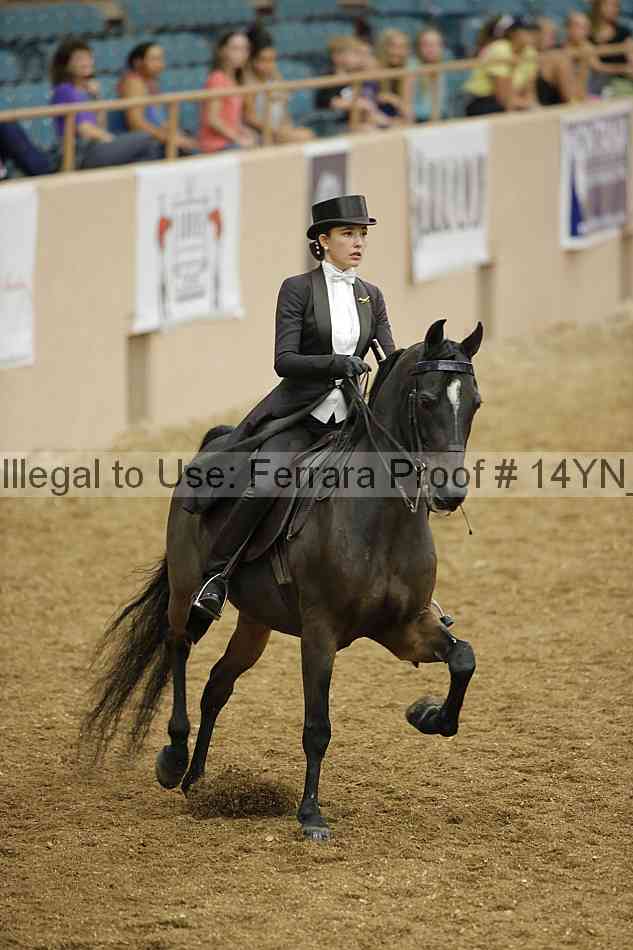 Proof 14yn_05138