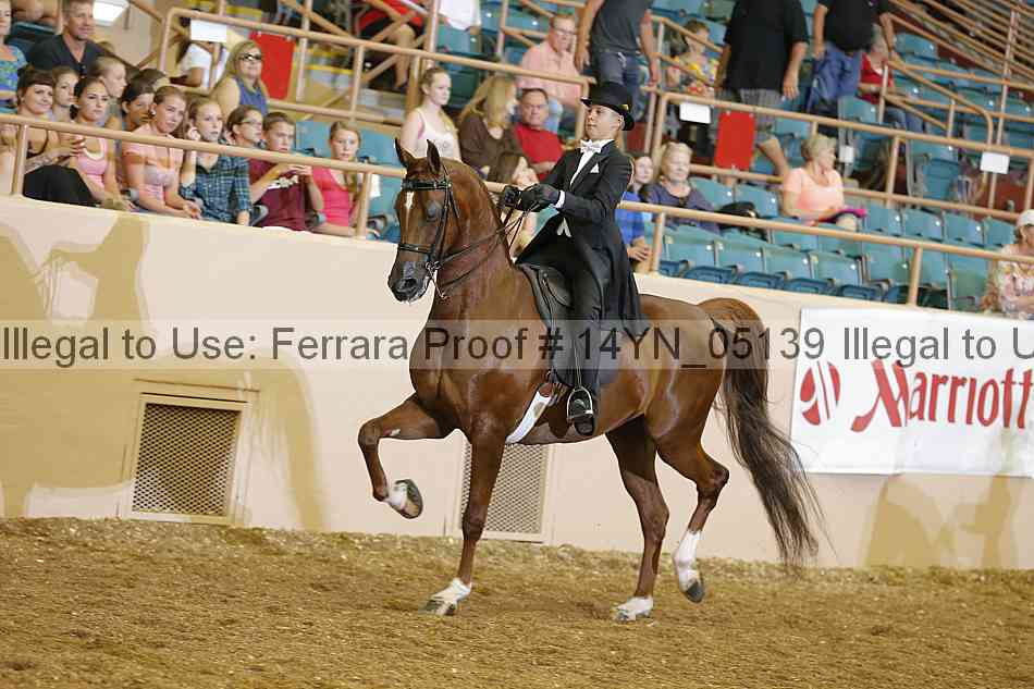 Proof 14yn_05139