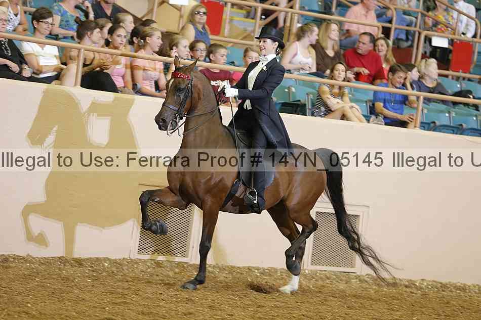 Proof 14yn_05145