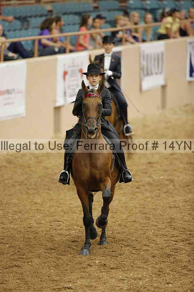 Proof 14yn_05146