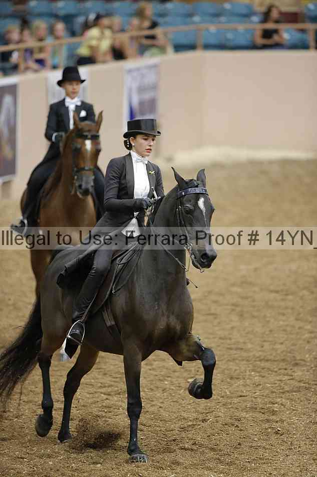 Proof 14yn_05151