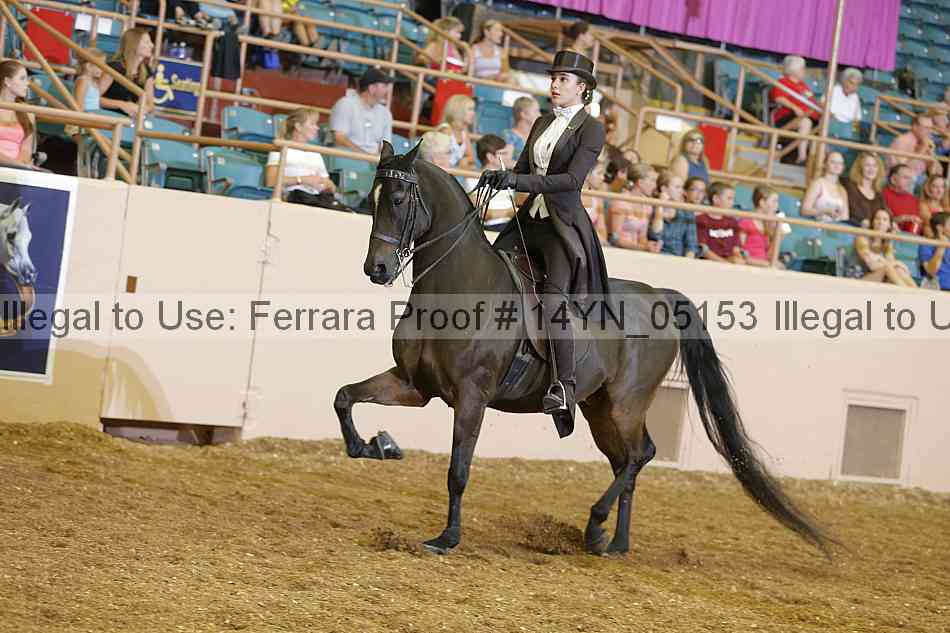 Proof 14yn_05153
