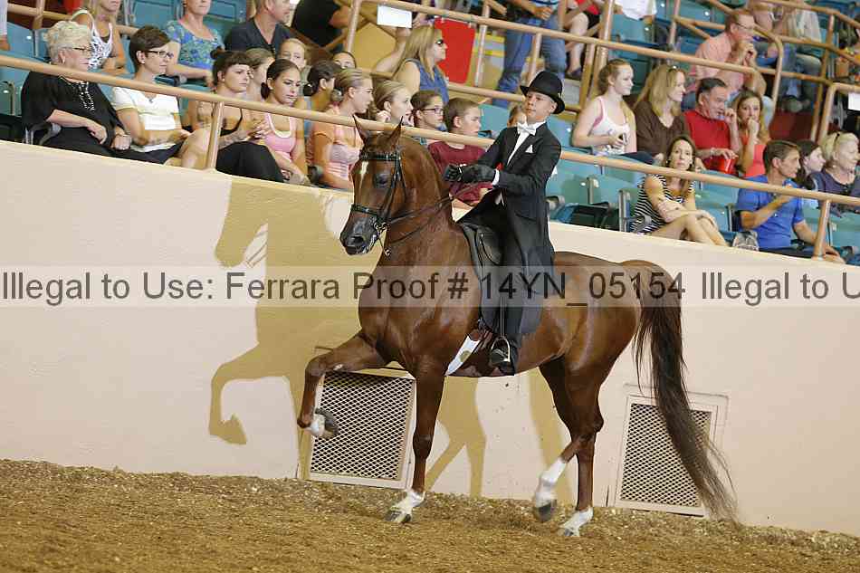 Proof 14yn_05154