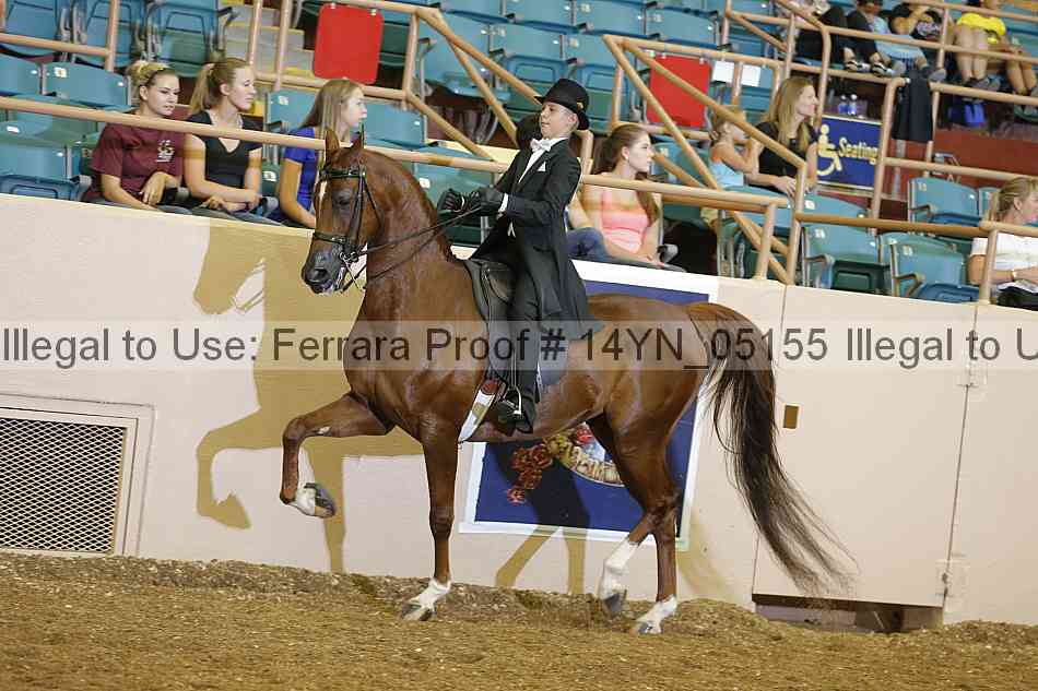 Proof 14yn_05155