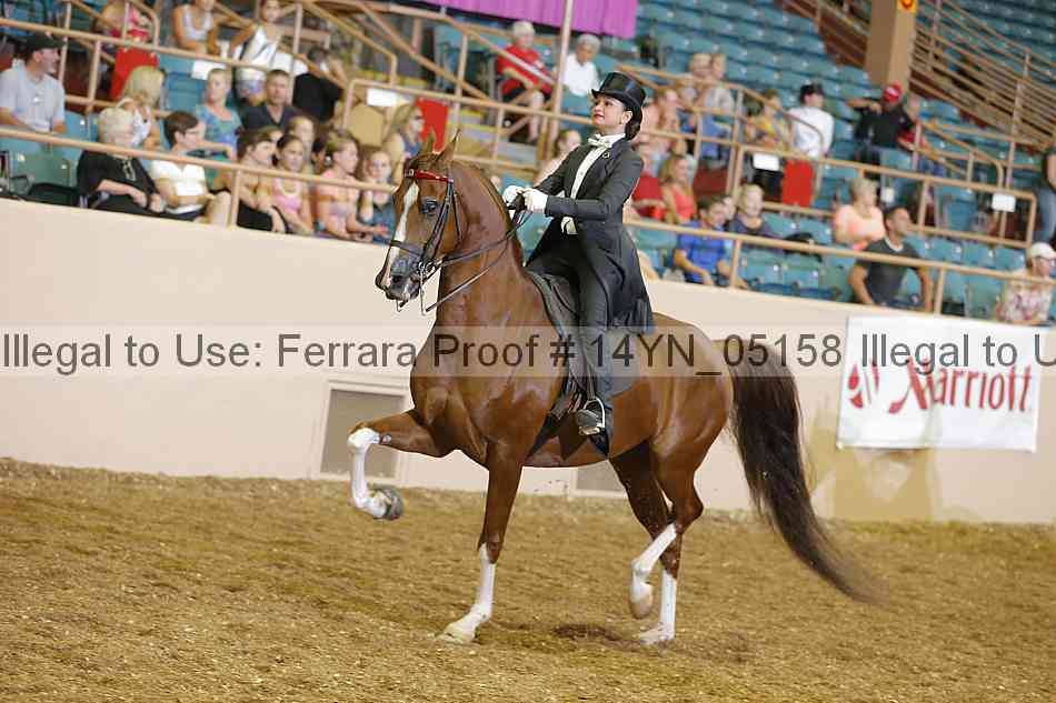 Proof 14yn_05158