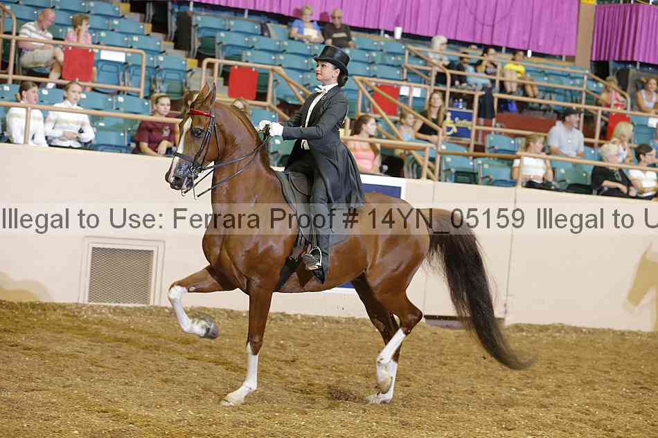 Proof 14yn_05159