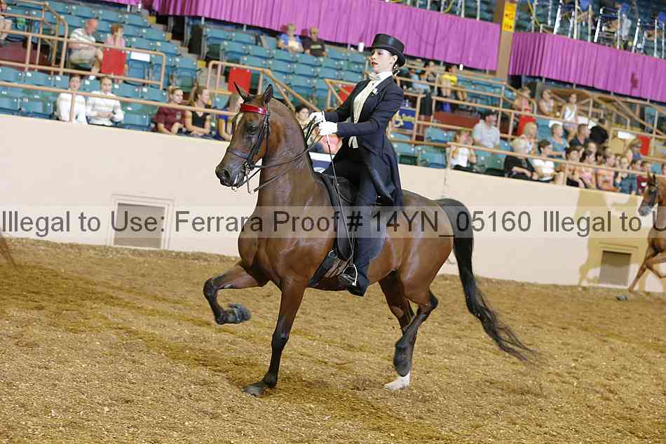 Proof 14yn_05160