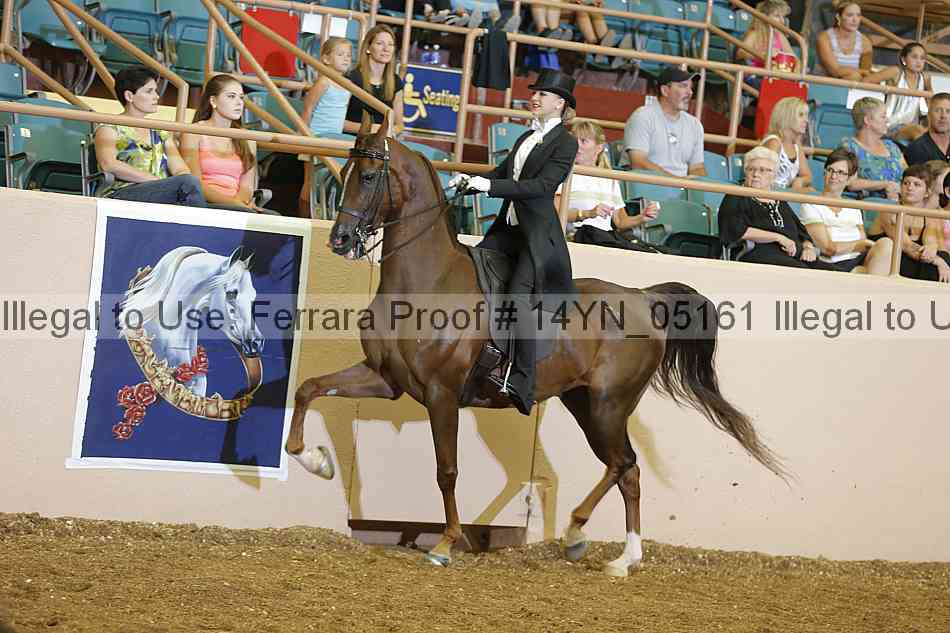 Proof 14yn_05161
