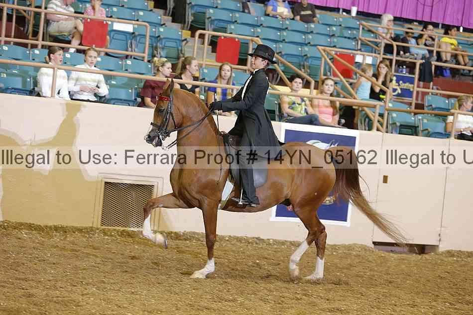 Proof 14yn_05162