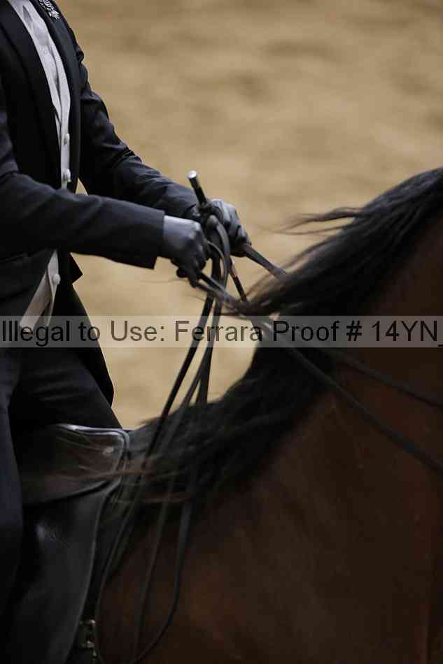 Proof 14yn_05163