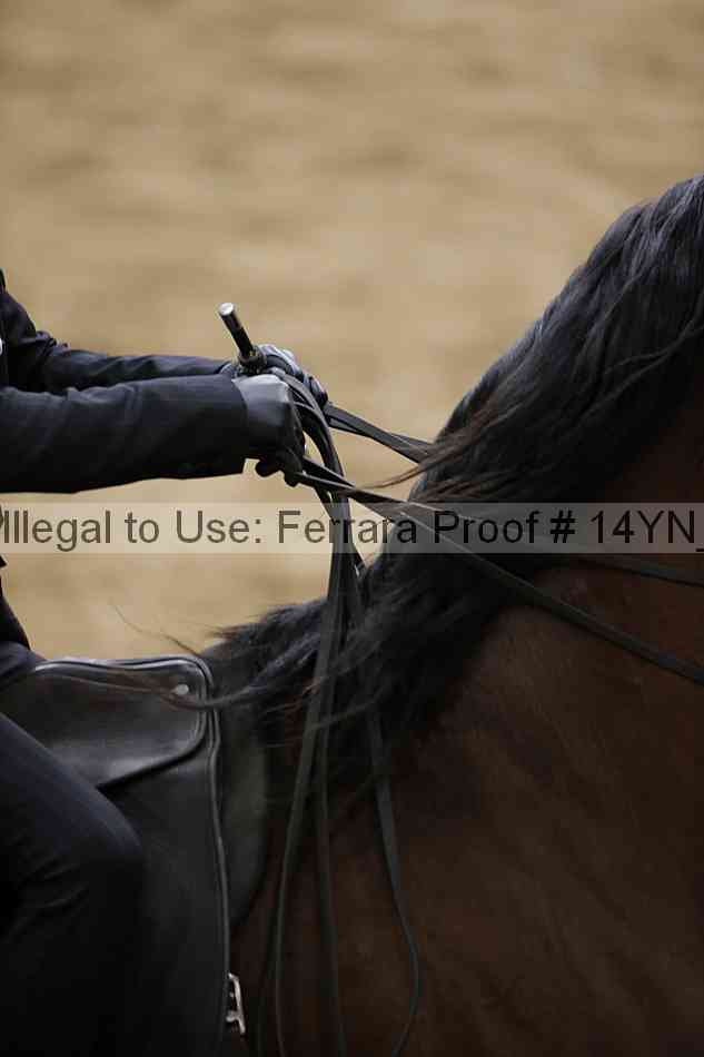 Proof 14yn_05164
