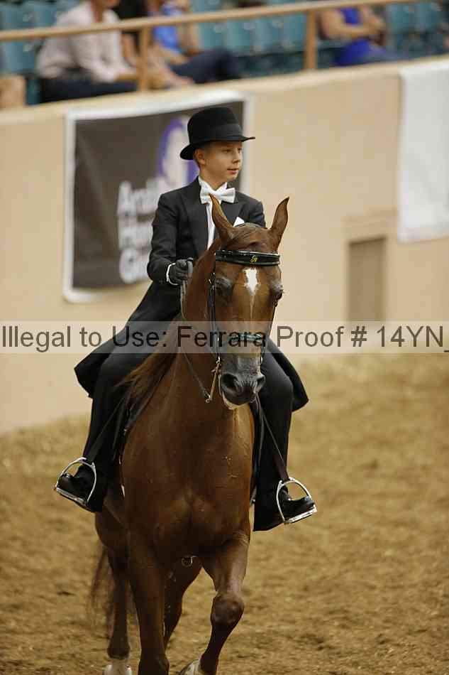 Proof 14yn_05167