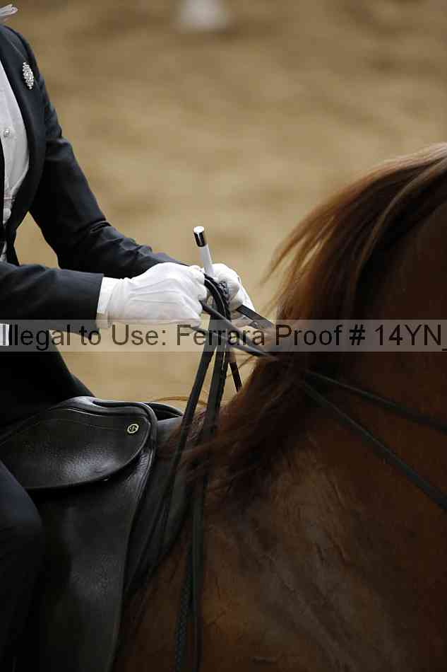 Proof 14yn_05169