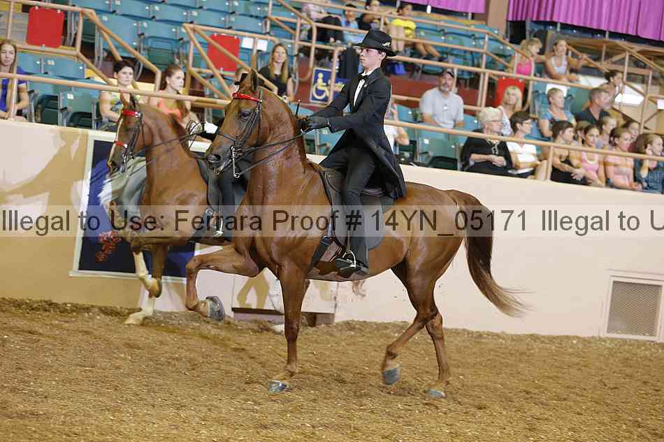 Proof 14yn_05171