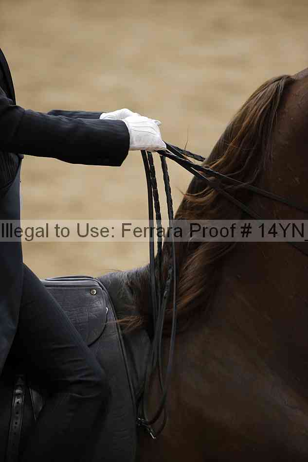 Proof 14yn_05182