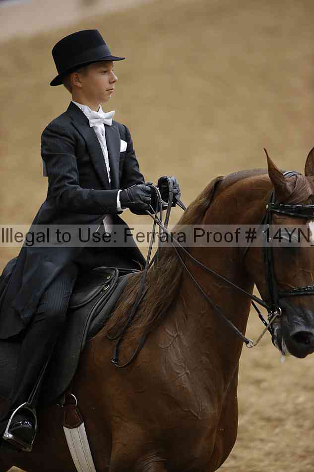 Proof 14yn_05185