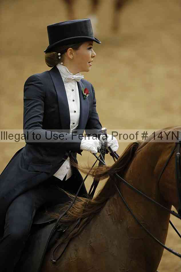 Proof 14yn_05189
