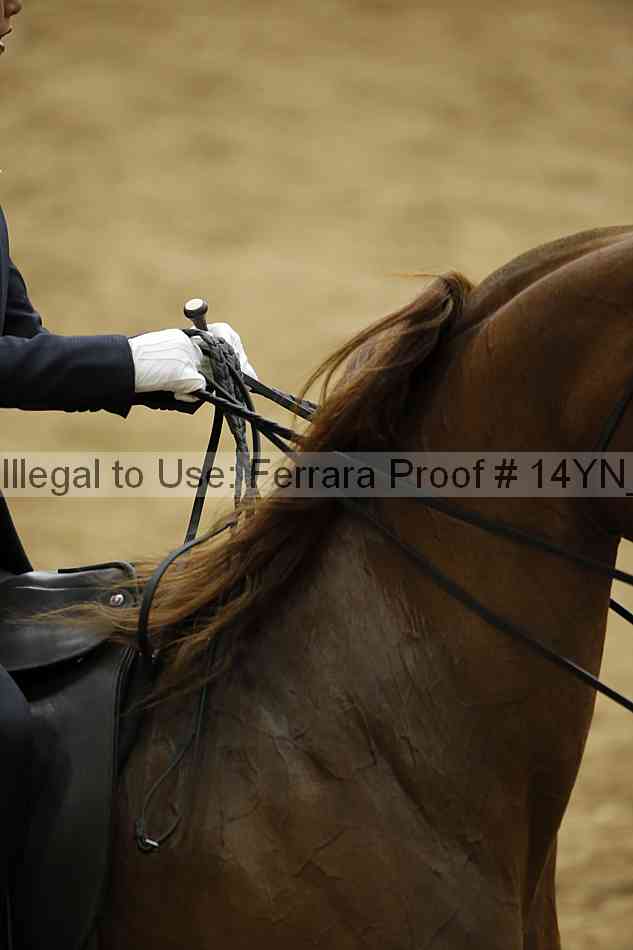 Proof 14yn_05190