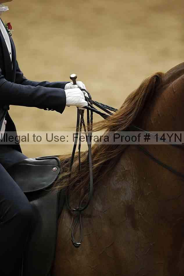 Proof 14yn_05191