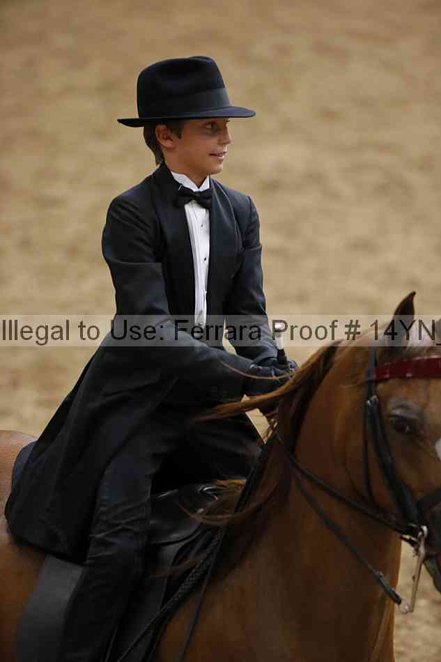 Proof 14yn_05194