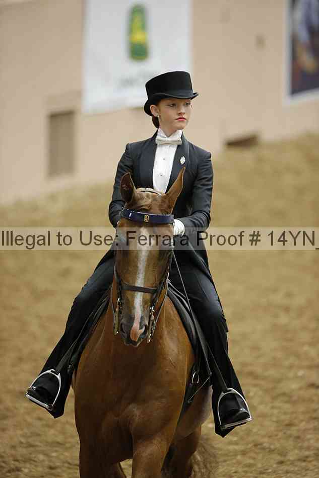Proof 14yn_05195