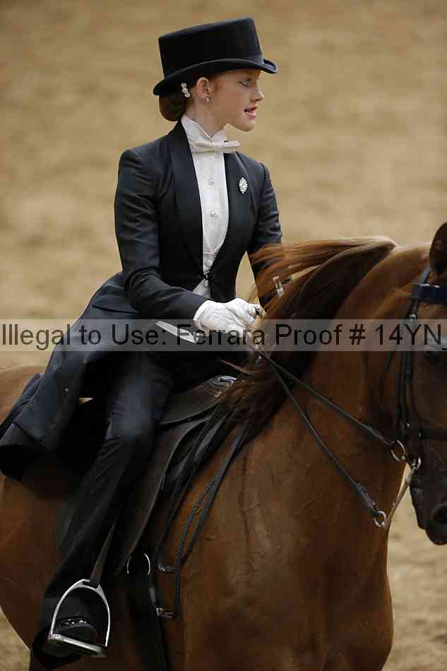 Proof 14yn_05197