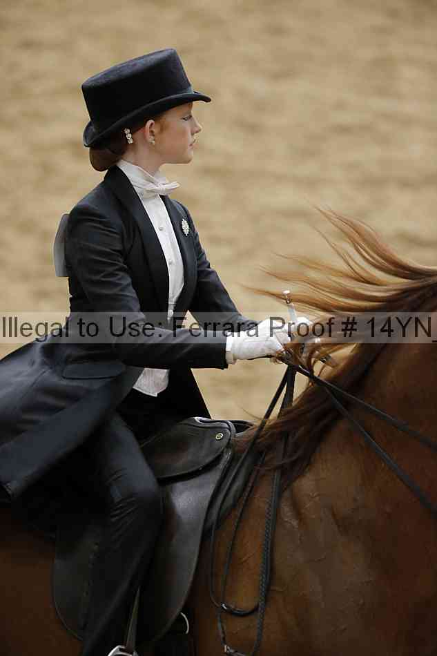 Proof 14yn_05199