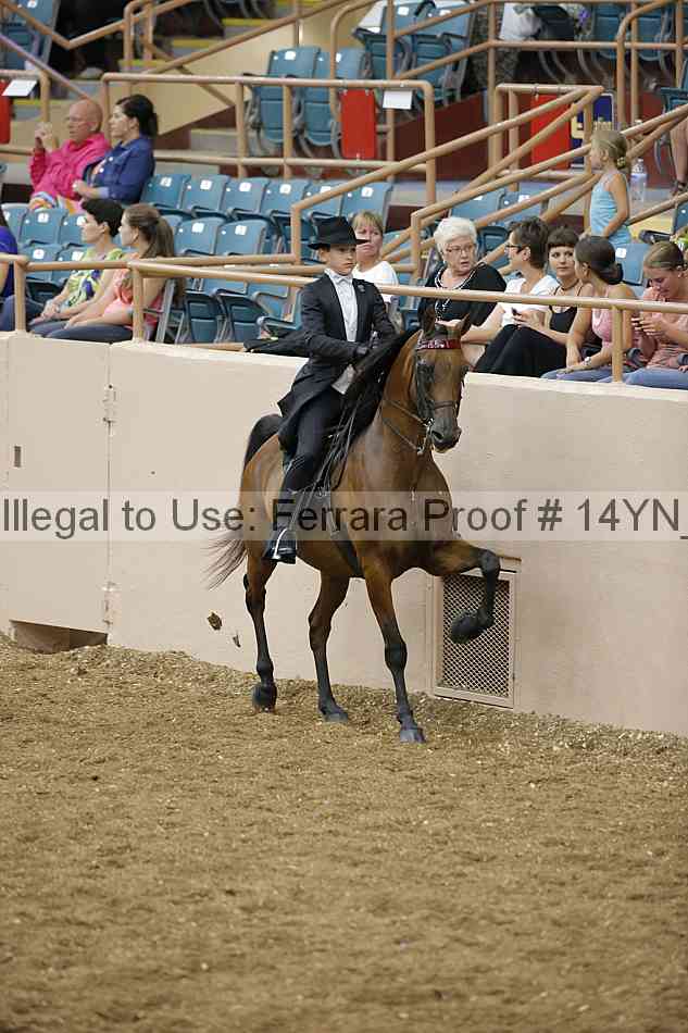 Proof 14yn_05201