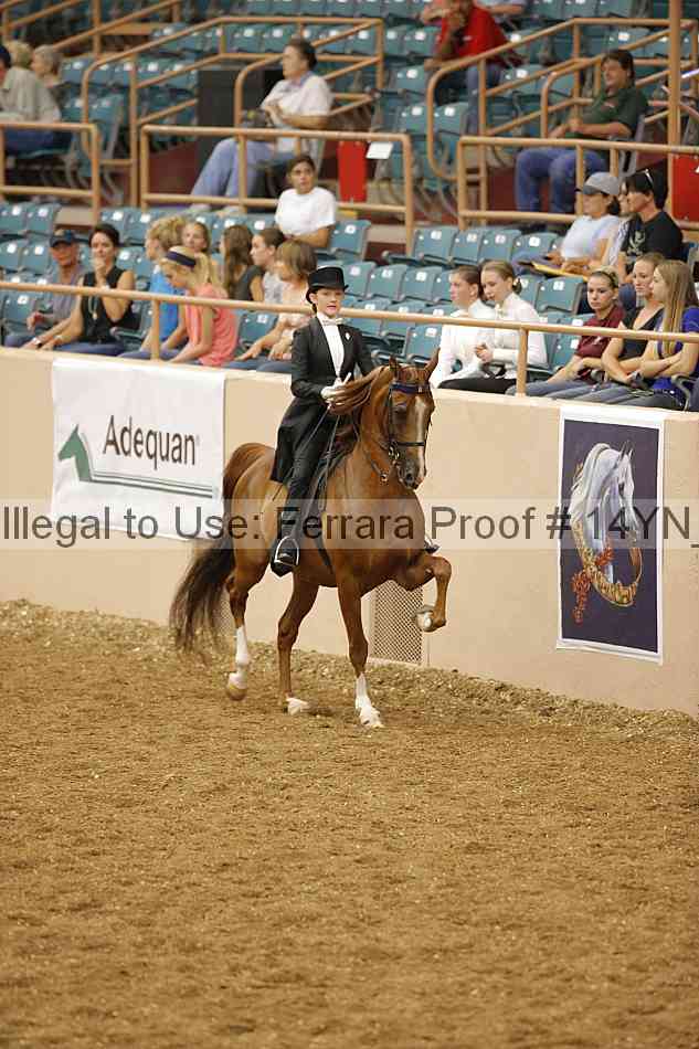 Proof 14yn_05204