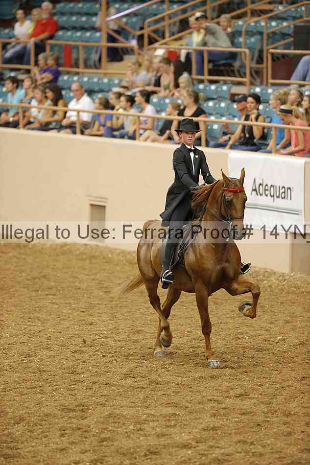 Proof 14yn_05205