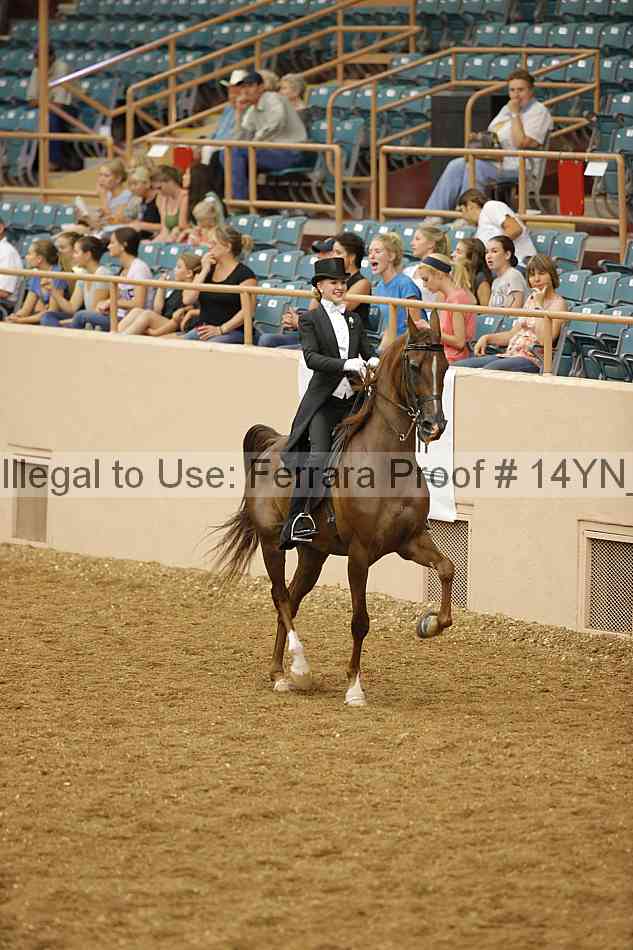 Proof 14yn_05206