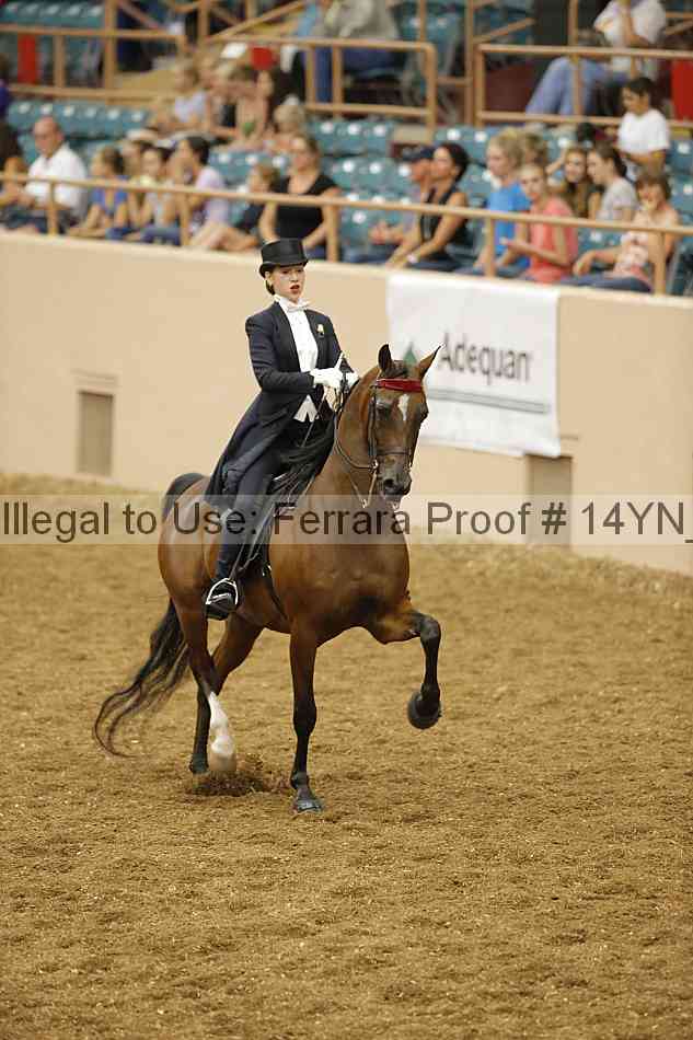 Proof 14yn_05207