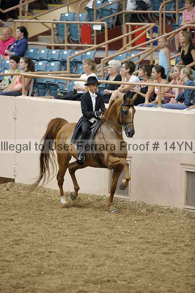 Proof 14yn_05208