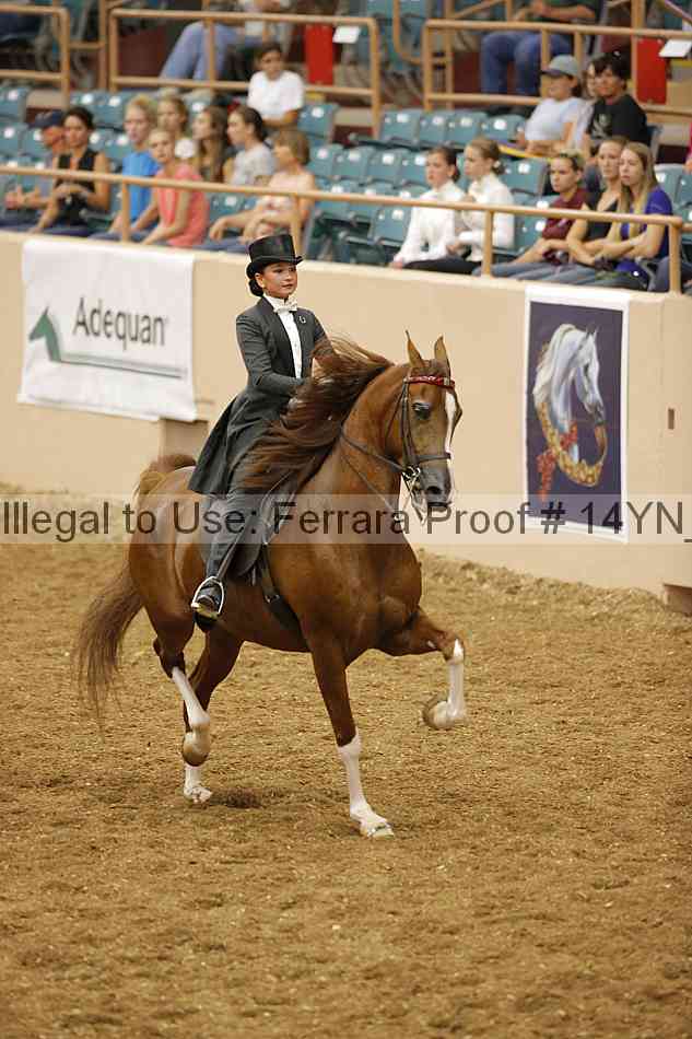 Proof 14yn_05209