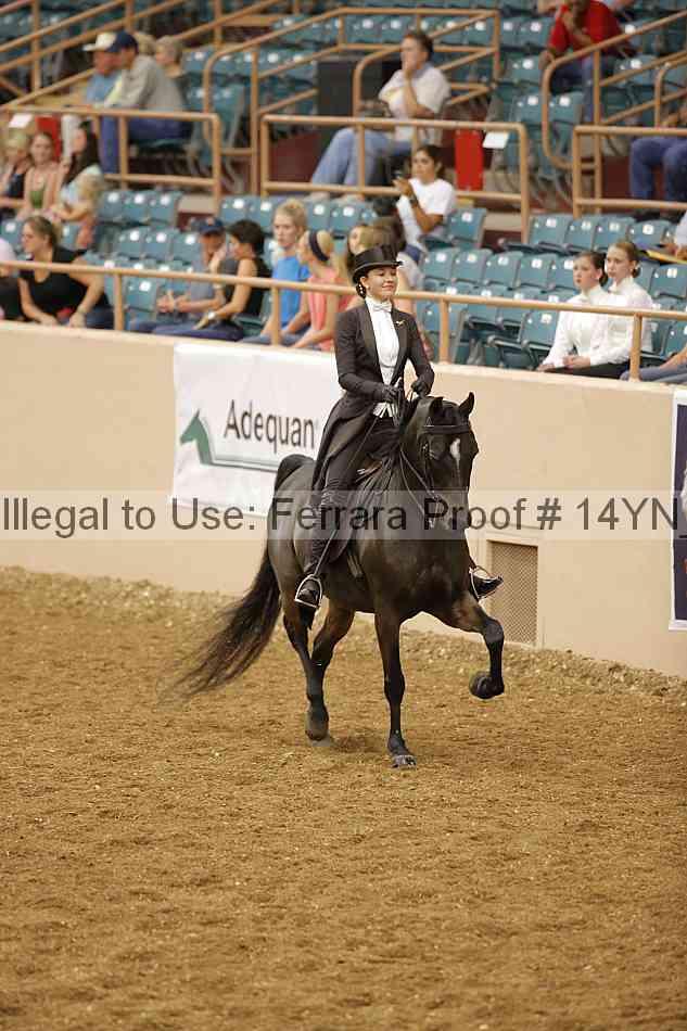 Proof 14yn_05211