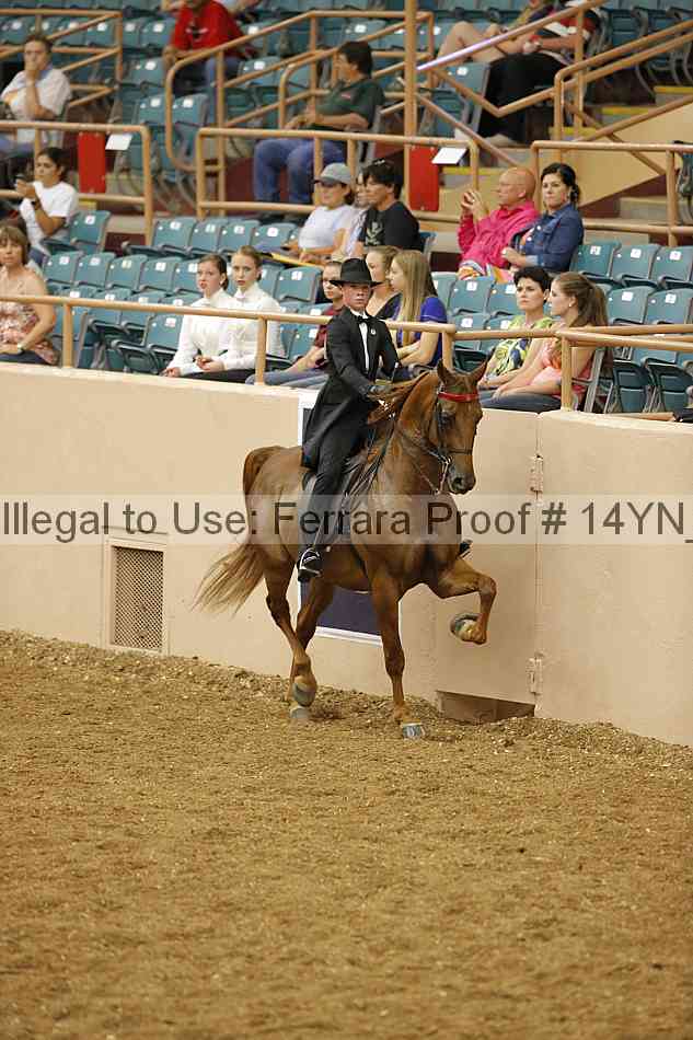Proof 14yn_05212