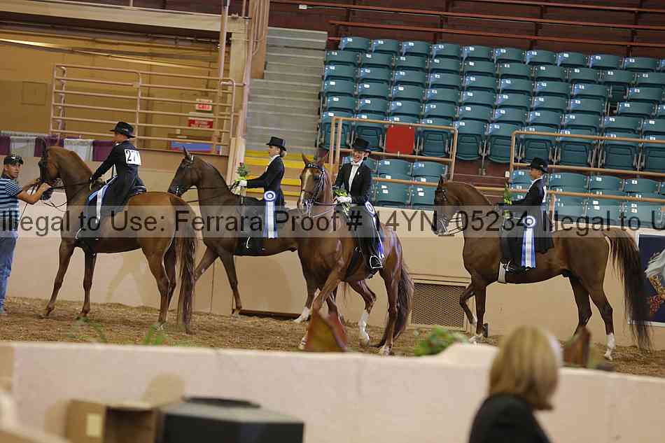 Proof 14yn_05234