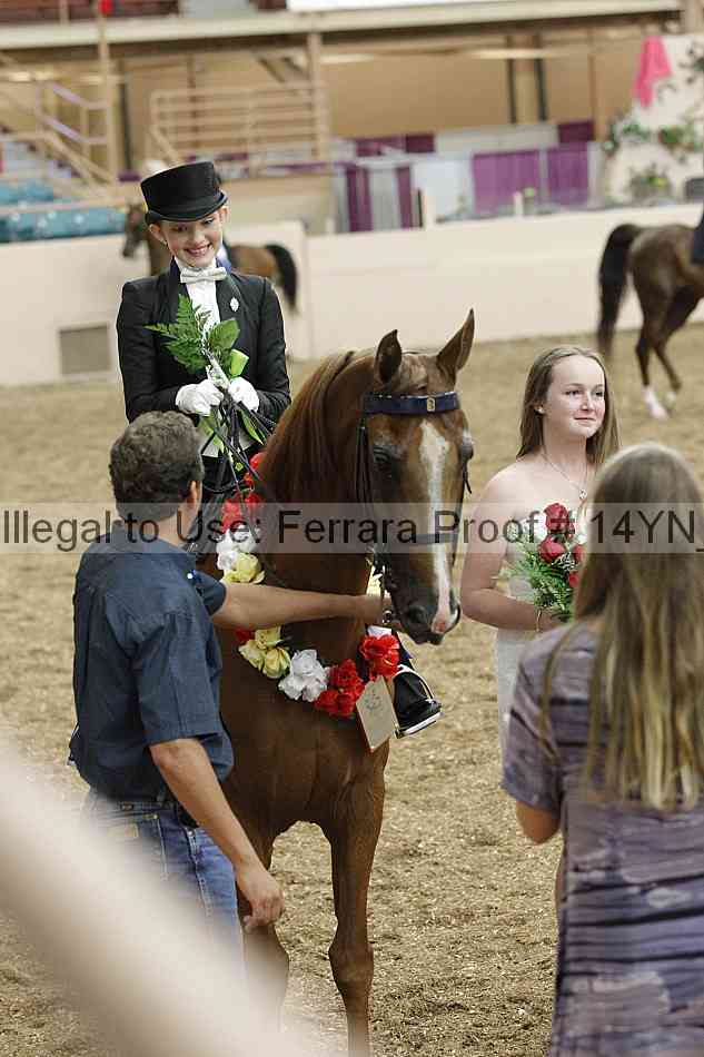 Proof 14yn_05243