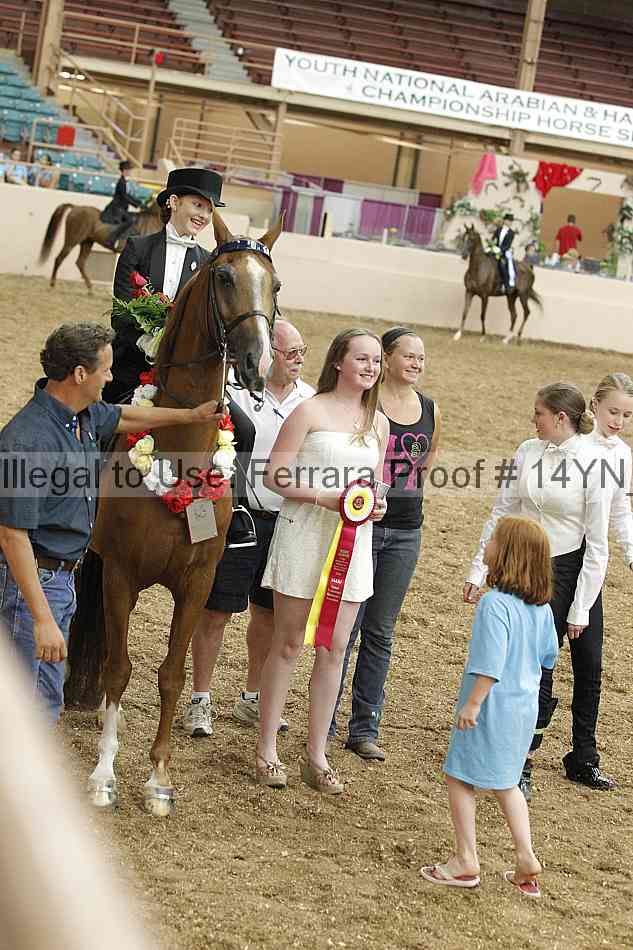 Proof 14yn_05253