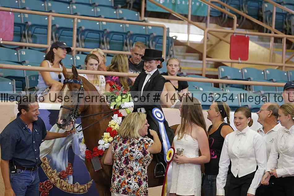 Proof 14yn_05254