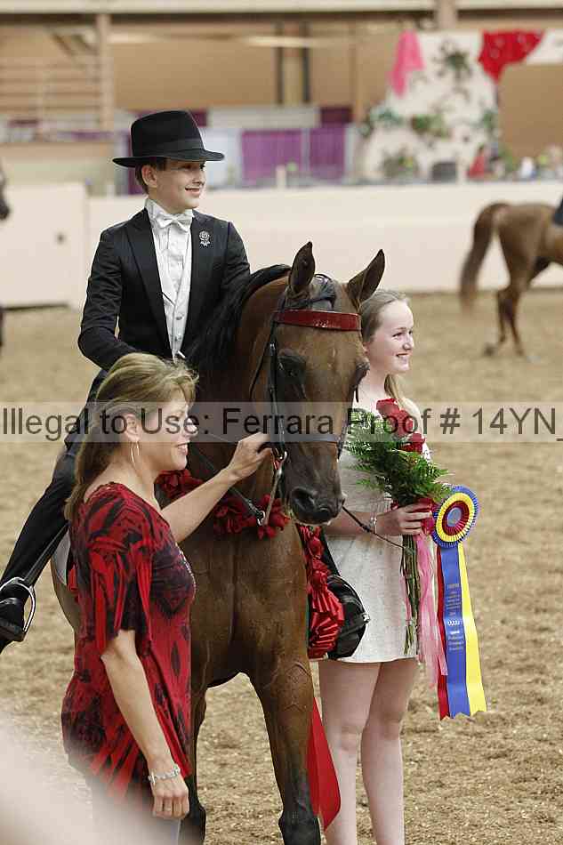 Proof 14yn_05275