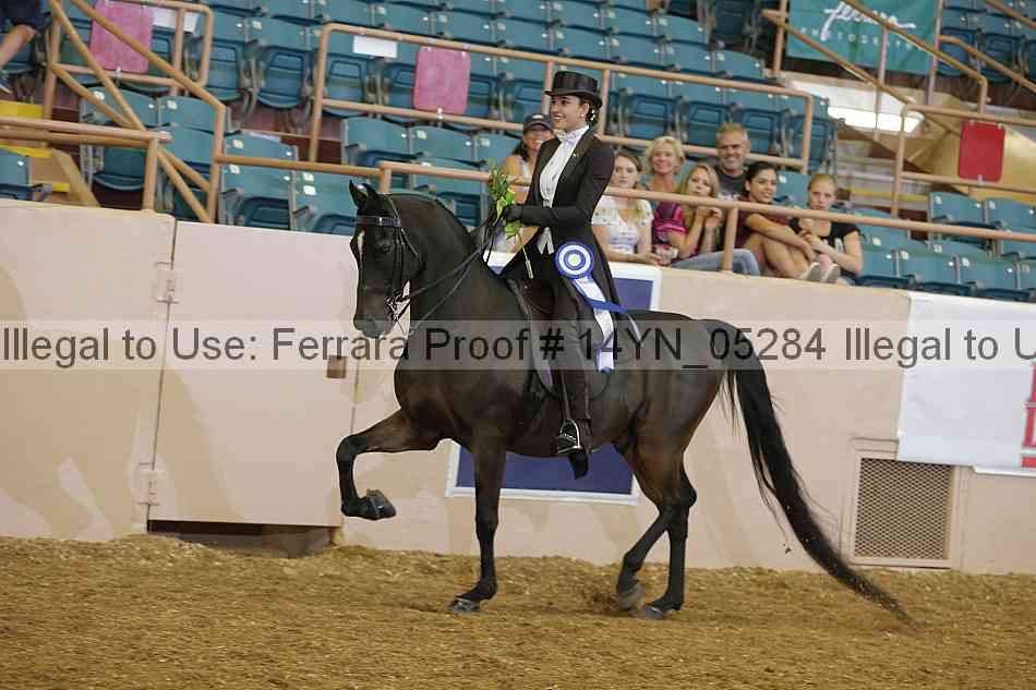Proof 14yn_05284