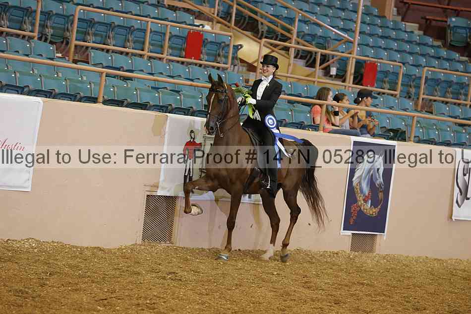 Proof 14yn_05289