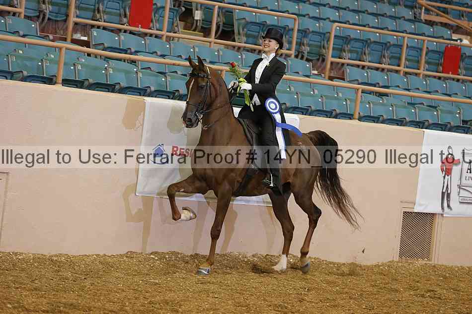 Proof 14yn_05290