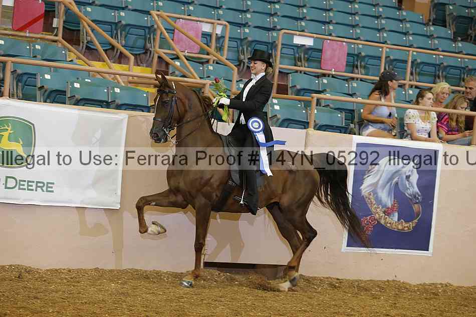 Proof 14yn_05292