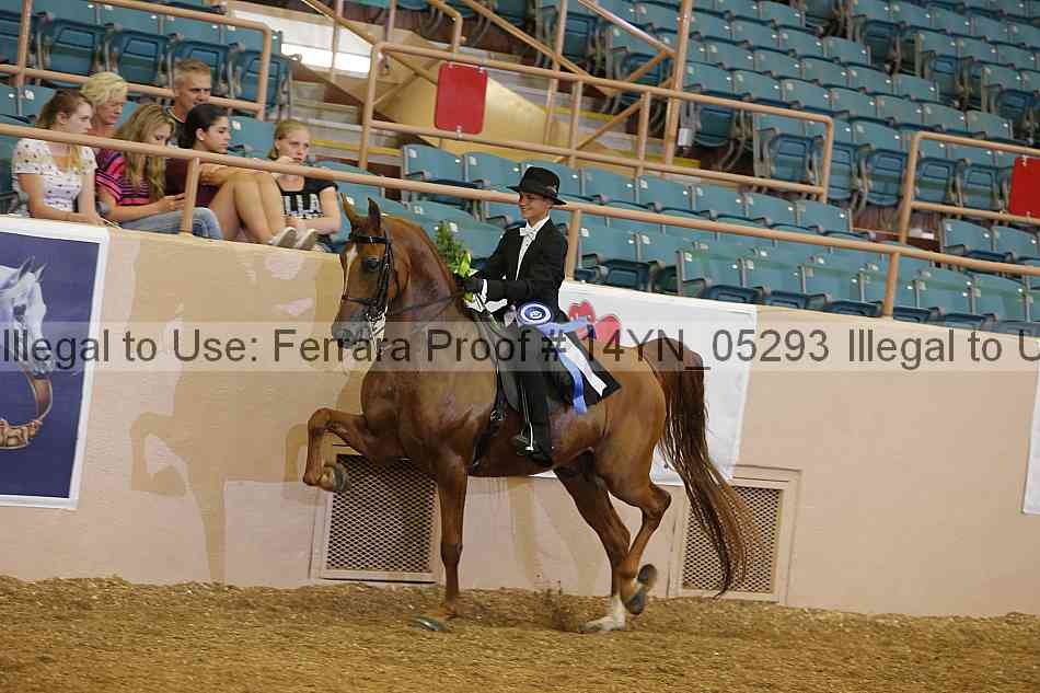 Proof 14yn_05293