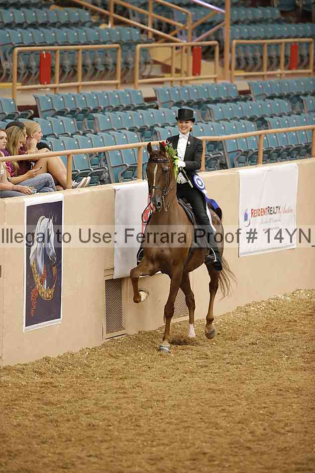 Proof 14yn_05294