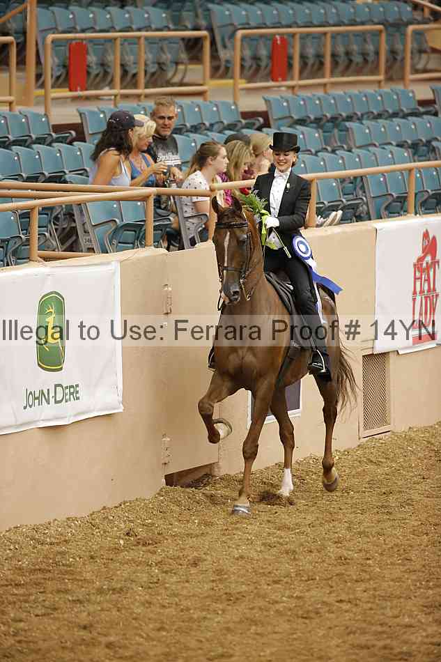 Proof 14yn_05295